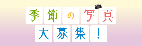 季節の写真大募集！