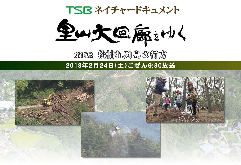 TSBネイチャードキュメント 里山大回廊をゆく 第17集「松枯れ列島の行方」 2018年2月24日(土)ごぜん9:30放送